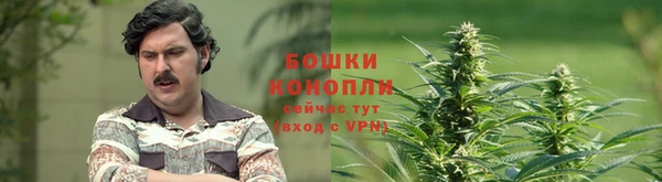 мет Алзамай