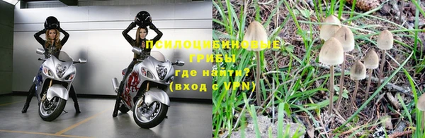 ешки Алексин