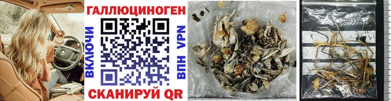 ОМГ ОМГ зеркало  Солнечногорск  Псилоцибиновые грибы Magic Shrooms 